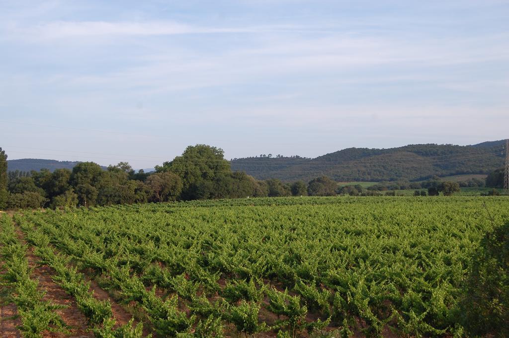 Chateau De La Clapiere Hyères Esterno foto